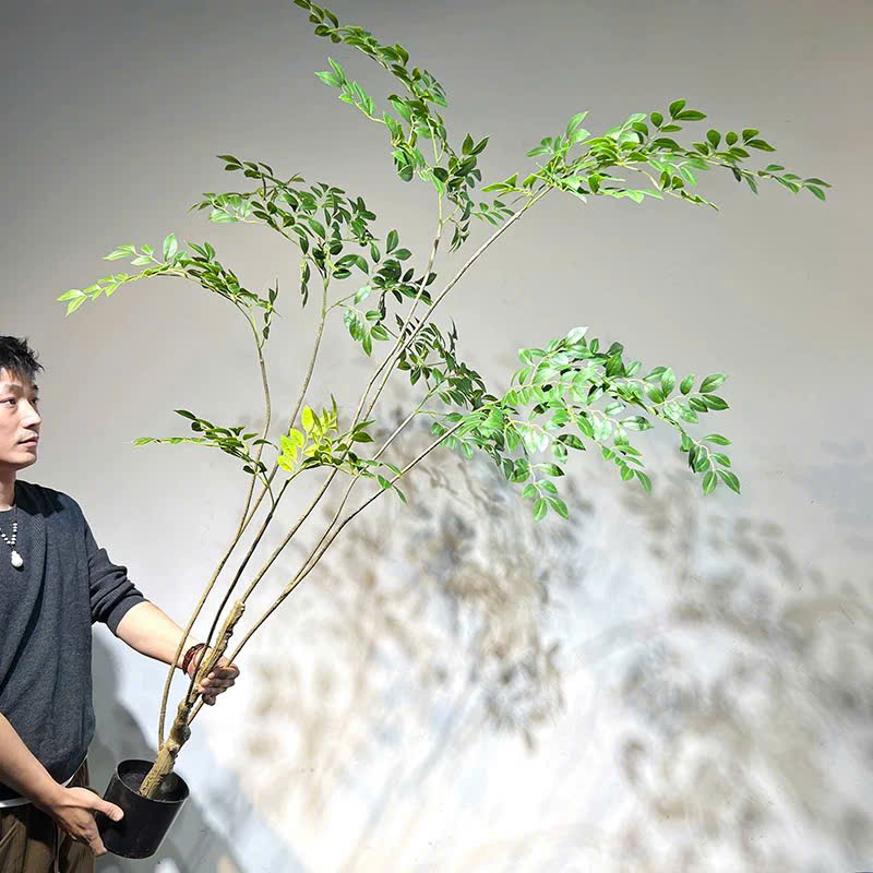 Cây du giả, cây cảnh giả, cây giả decor, cây giả