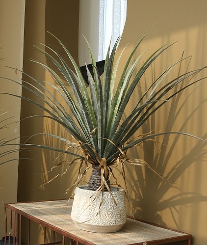 Cây máu rồng giả, cây cảnh giả, cây giả decor, cây giả