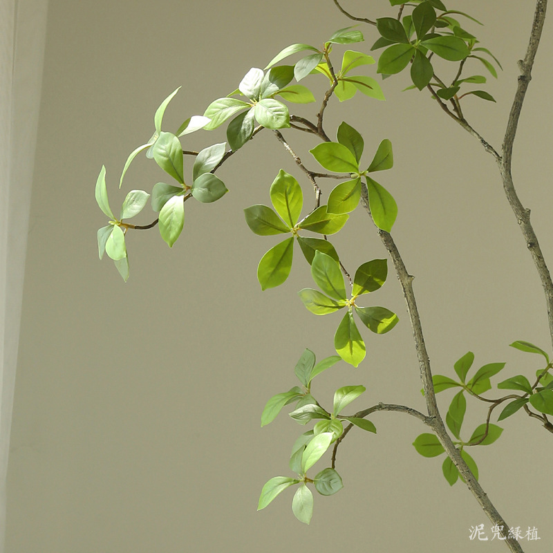 Cây Sơn Chi giả, cây cảnh giả, cây giả