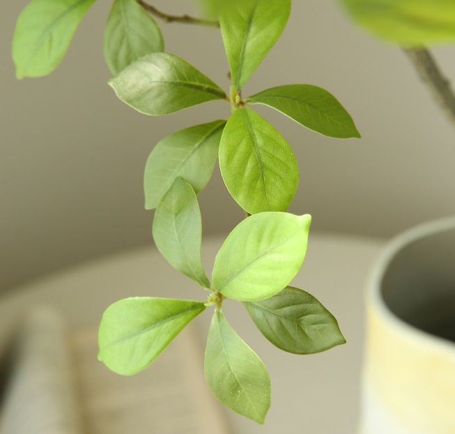 Cây Sơn Chi giả, cây cảnh giả, cây giả