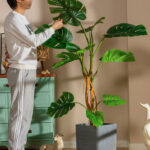 Cây trầu bà giả, cây cảnh giả, cây giả decor, cây giả