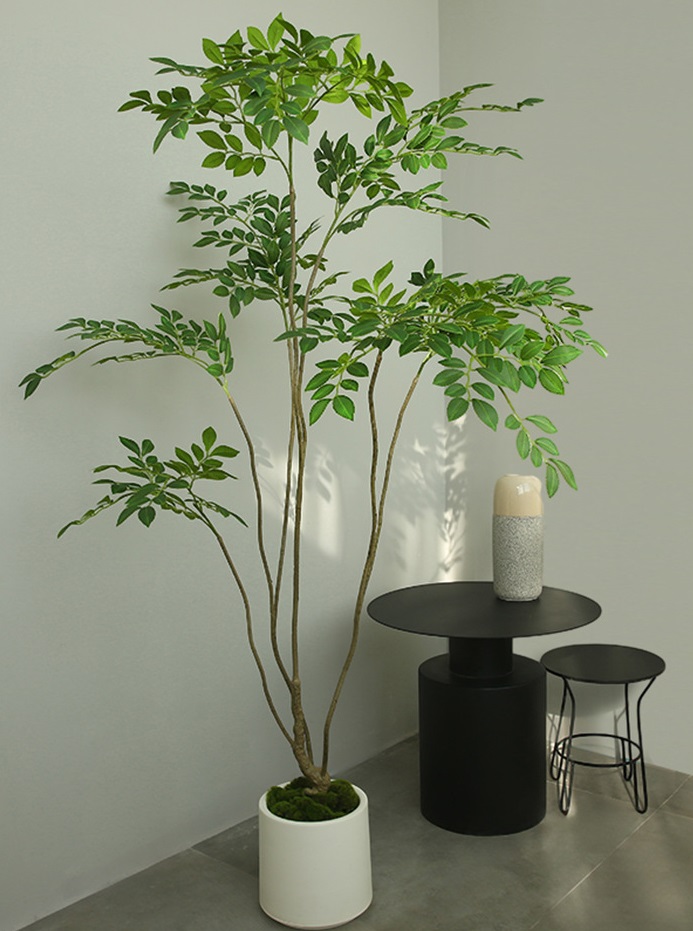 Cây du giả, cây cảnh giả, cây giả decor, cây giả Cây du giả, cây cảnh giả, cây giả decor, cây giả