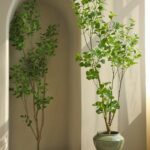 Cây thiên trúc giả, cây cảnh giả, cây giả decor, cây giả