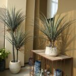 Cây máu rồng giả, cây cảnh giả, cây giả decor, cây giả