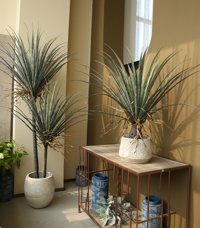 Cây máu rồng giả, cây cảnh giả, cây giả decor, cây giả