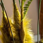 Câydương xỉ giả, cây cảnh giả, cây giả decor, cây giả