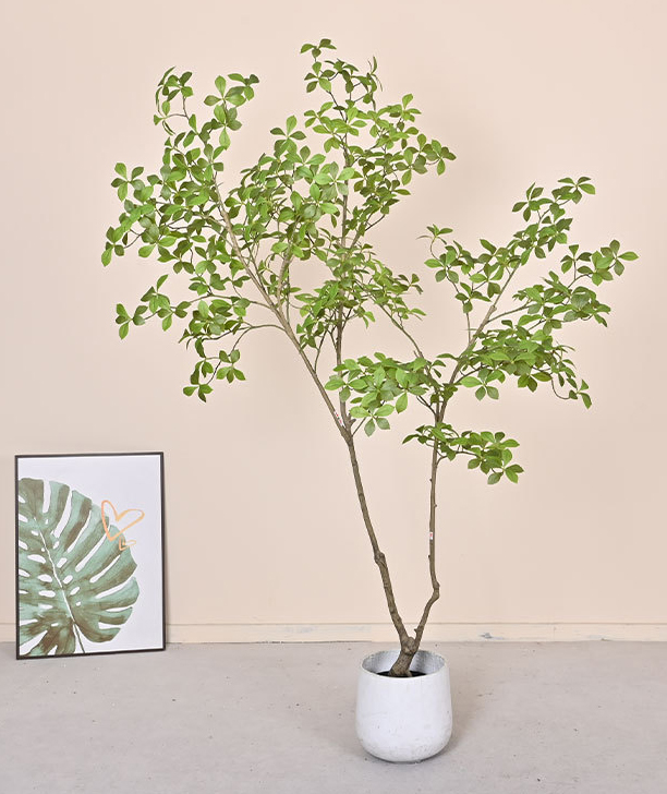 Cây Sơn Chi giả, cây cảnh giả, cây giả