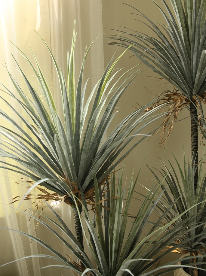 Cây máu rồng giả, cây cảnh giả, cây giả decor, cây giả