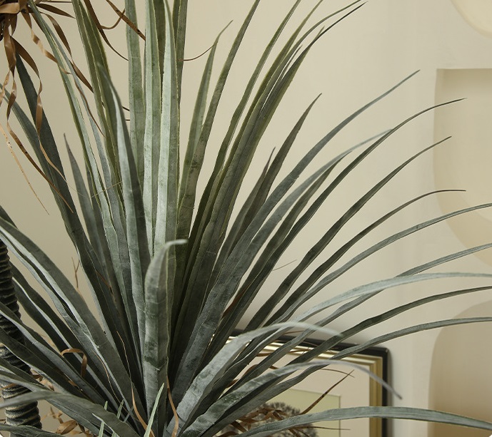 Cây máu rồng giả, cây cảnh giả, cây giả decor, cây giả