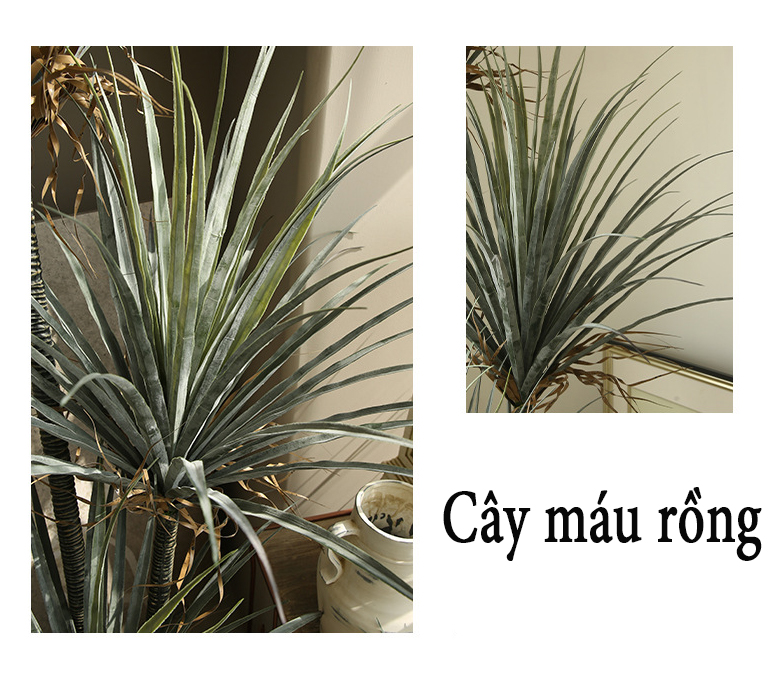Cây máu rồng giả, cây cảnh giả, cây giả decor, cây giả