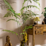 Câydương xỉ giả, cây cảnh giả, cây giả decor, cây giả