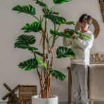 Cây trầu bà giả, cây cảnh giả, cây giả decor, cây giả