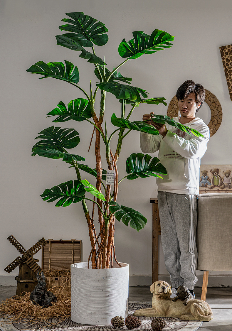 Cây trầu bà giả, cây cảnh giả, cây giả decor, cây giả Cây trầu bà giả, cây cảnh giả, cây giả decor, cây giả