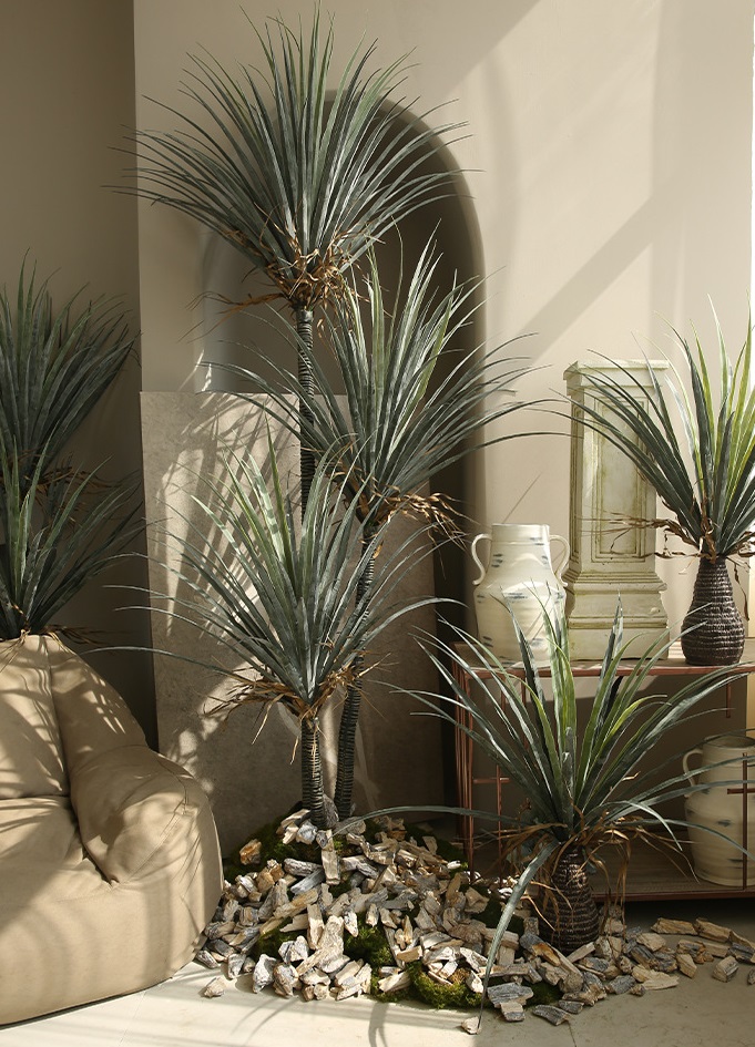 Cây máu rồng giả, cây cảnh giả, cây giả decor, cây giả