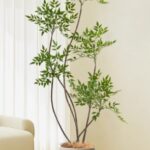 Cây thiên trúc giả, cây cảnh giả, cây giả decor, cây giả