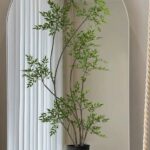 Cây thiên trúc giả, cây cảnh giả decor, cây giả, cây cảnh giả