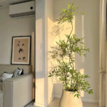 Cây thiên trúc giả, cây cảnh giả decor, cây giả, cây cảnh giả