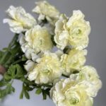 Hoa mao lương giả, hoa decor trang trí nhà cửa, hoa giả