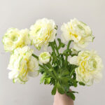 Hoa mao lương giả, hoa decor trang trí nhà cửa, hoa giả