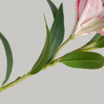 Hoa LY giả, hoa decor trang trí nhà cửa, hoa giả