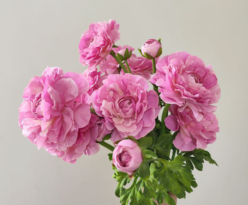 Hoa mao lương giả, hoa decor trang trí nhà cửa, hoa giả