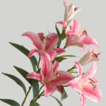 Hoa Ly giả, hoa decor trang trí nhà cửa, hoa giả