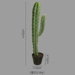 Cây xương rồng giả, cây cảnh giả, cây giả decor, cây giả