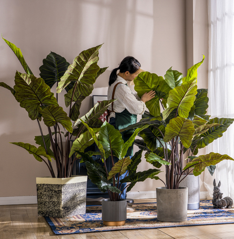 Cây thiên niên kiện giả, cây cảnh giả, cây giả decor, cây giả