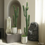 Cây xương rồng giả, cây cảnh giả, cây giả decor, cây giả