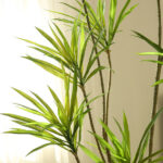 Cây thiên niên kỷ giả, cây cảnh giả, cây giả decor, cây giả