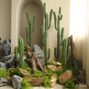 Cây xương rồng giả, cây cảnh giả, cây giả decor, cây giả