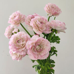 Hoa giả - Hoa lụa