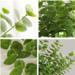 Cành khuynh diệp giả, cành cây giả trang trí