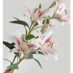 Hoa LY giả, hoa decor trang trí nhà cửa, hoa giả