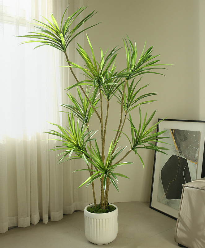 Cây thiên niên kỷ giả, cây cảnh giả, cây giả decor, cây giả