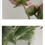 Hoa mao lương giả, hoa decor trang trí nhà cửa, hoa giả