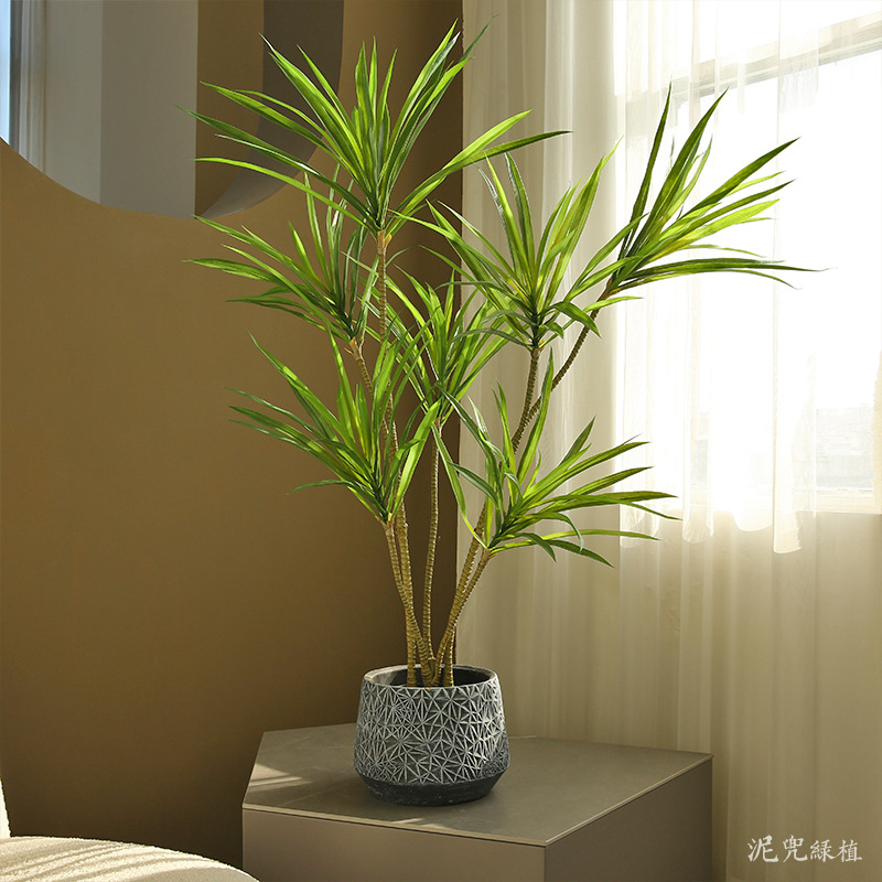 Cây thiên niên kỷ giả, cây cảnh giả, cây giả decor, cây giả