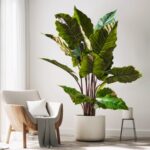 Cây thiên niên kiện giả, cây cảnh giả, cây giả decor, cây giả