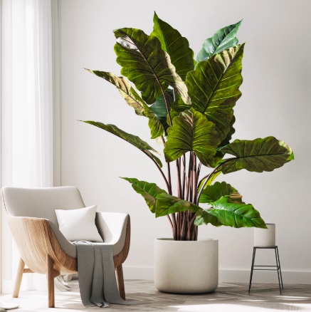 Cây thiên niên kiện giả, cây cảnh giả, cây giả decor, cây giả