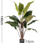 Cây hiên niên kiện giả, cây cảnh giả, cây giả decor, cây giả