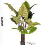 Cây hiên niên kiện giả, cây cảnh giả, cây giả decor, cây giả