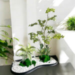 Tiểu cảnh giả, cây sơn chi 1m8