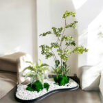 Tiểu cảnh giả, cây sơn chi 1m8