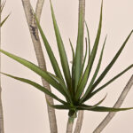 thiên niên kỷ sa mạc giả, cành cây giả, cành giả, cây giả