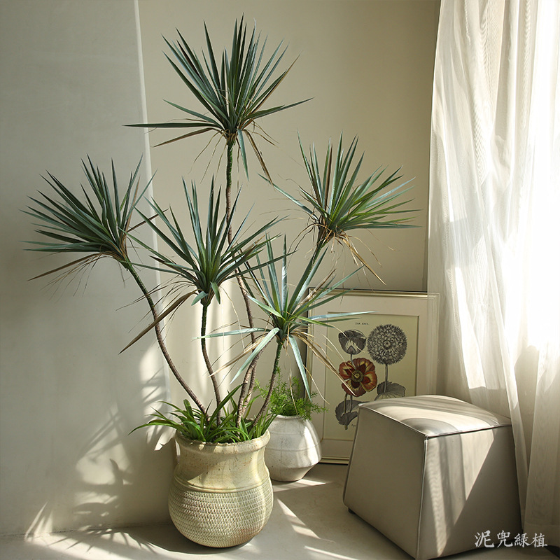 cây huyết giác giả, cành cây giả, cành giả, cây giả