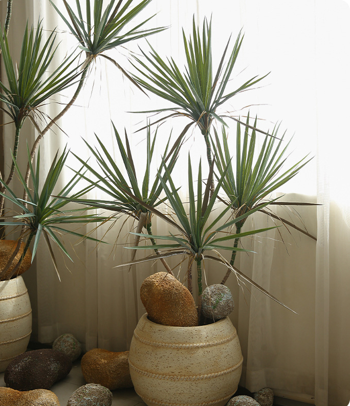 cây huyết giác giả, cành cây giả, cành giả, cây giả