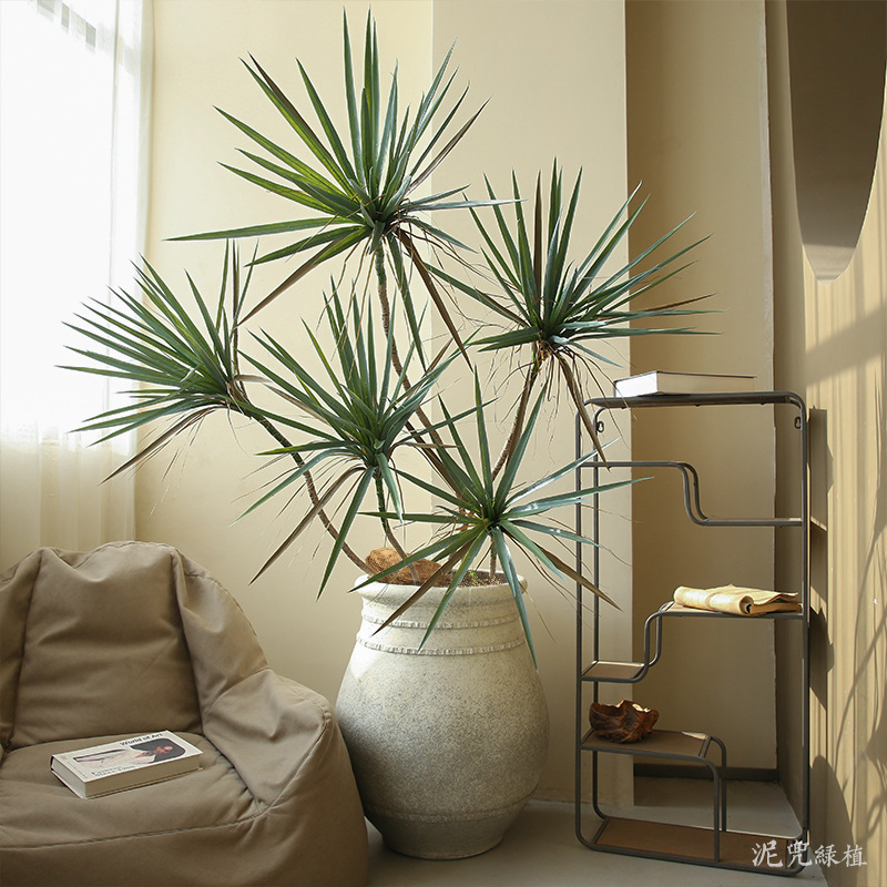 cây huyết giác giả, cành cây giả, cành giả, cây giả