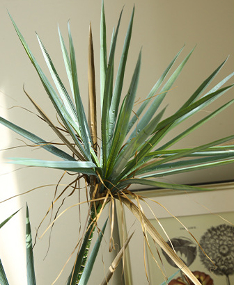 cây huyết giác giả, cành cây giả, cành giả, cây giả