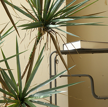 cây huyết giác giả, cành cây giả, cành giả, cây giả