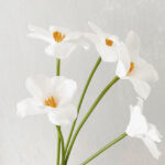 Hoa tulip giả trang trí nhà cửa